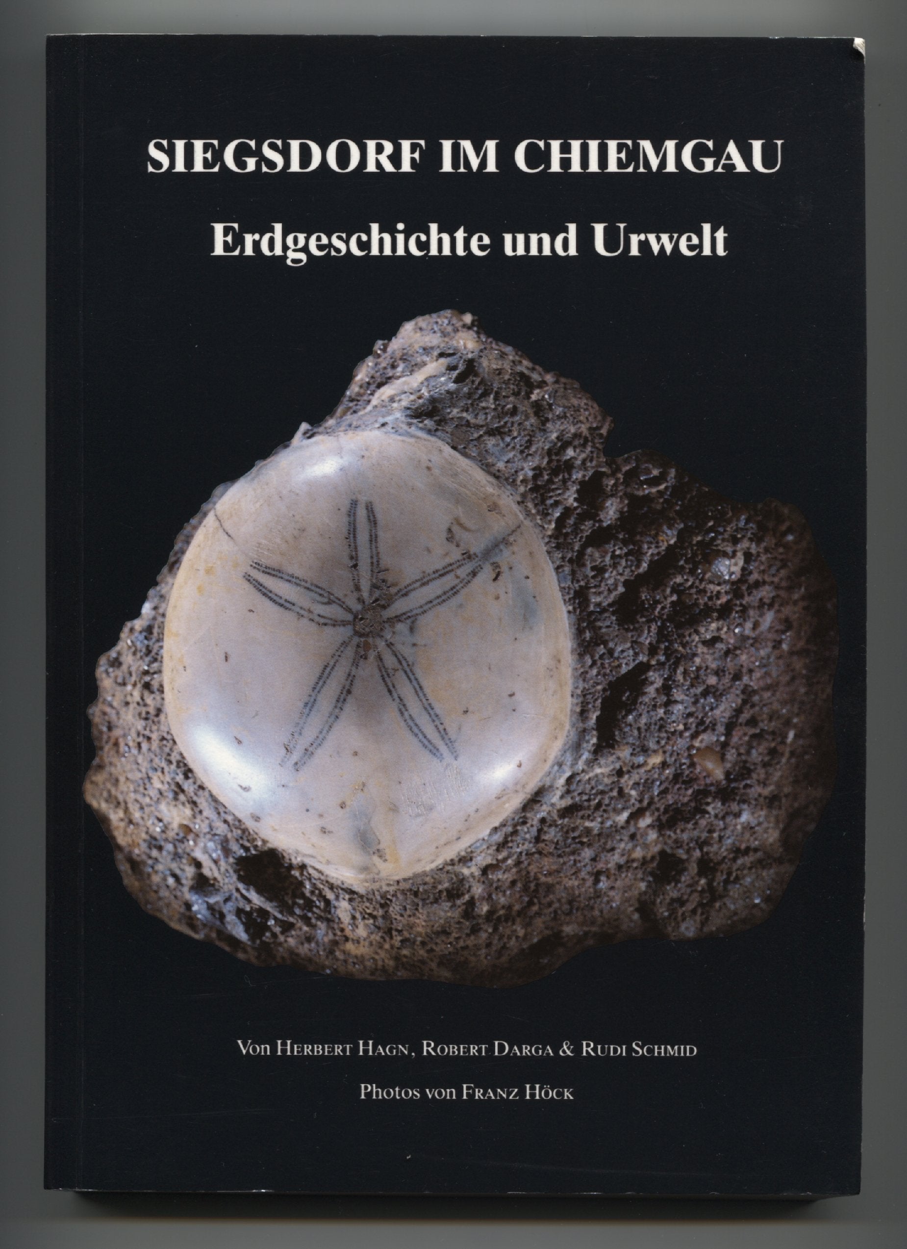 Erdgeschichte und Urwelt im Raum Siegsdorf. Fossilien als Zeugen der geologischen Vergangenheit Books