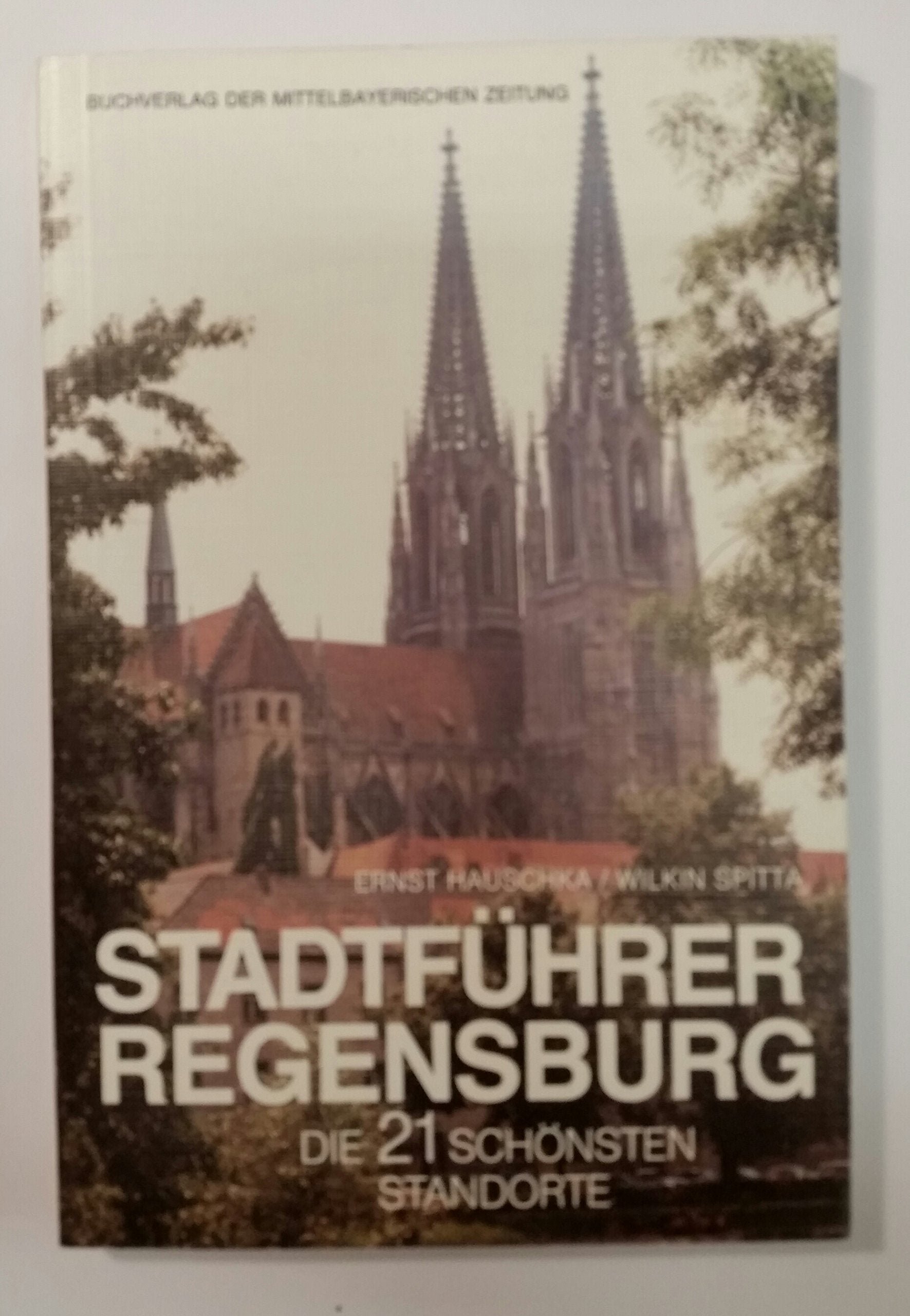 Stadtführer Regensburg. Die 21 schönsten Standorte Books