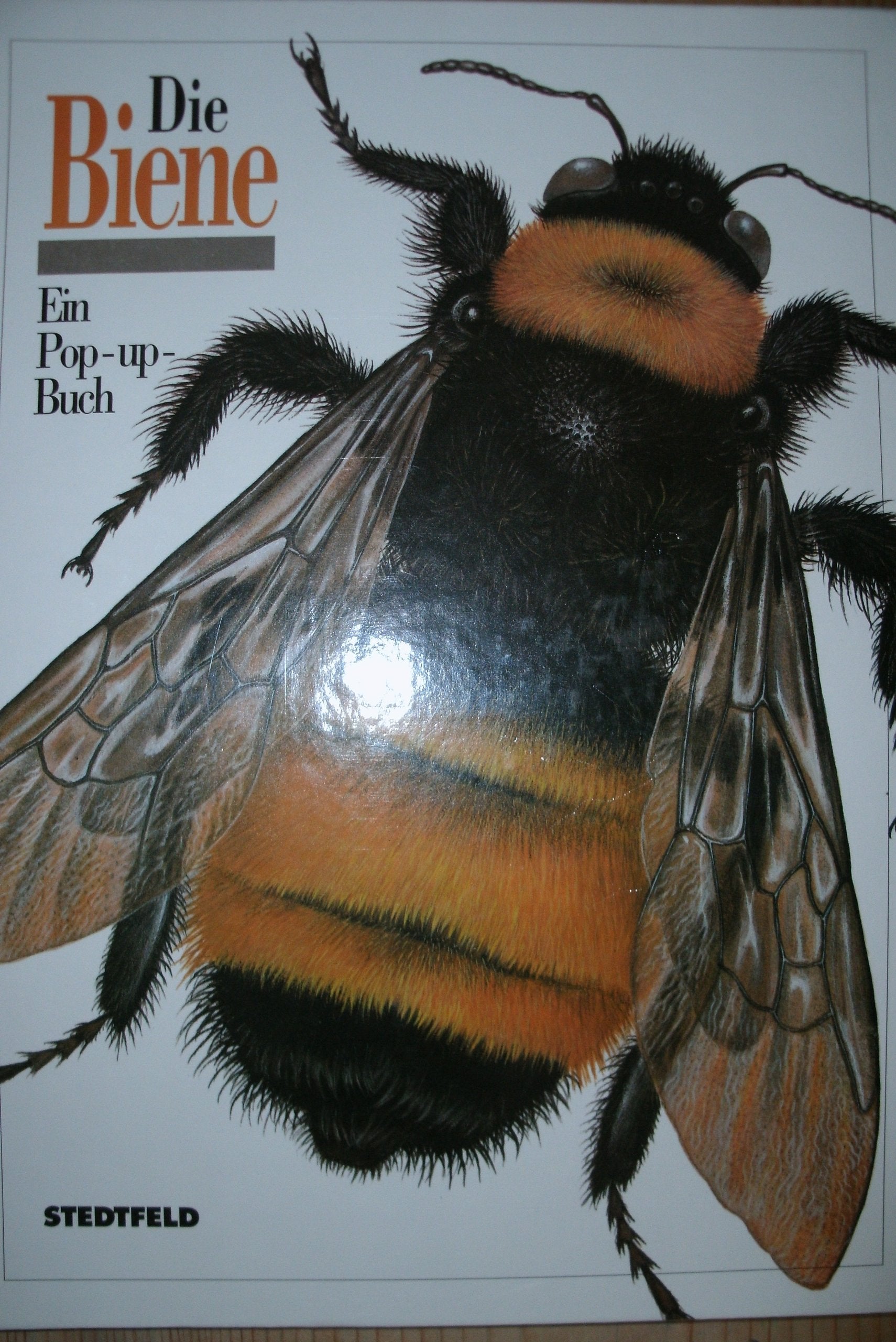 Die Biene. Ein Pop-up-Buch Books