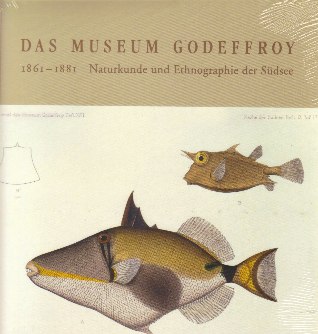 Das Museum Godeffroy: 1861-1881 Naturkunde und Ethnographie der Südsee Books