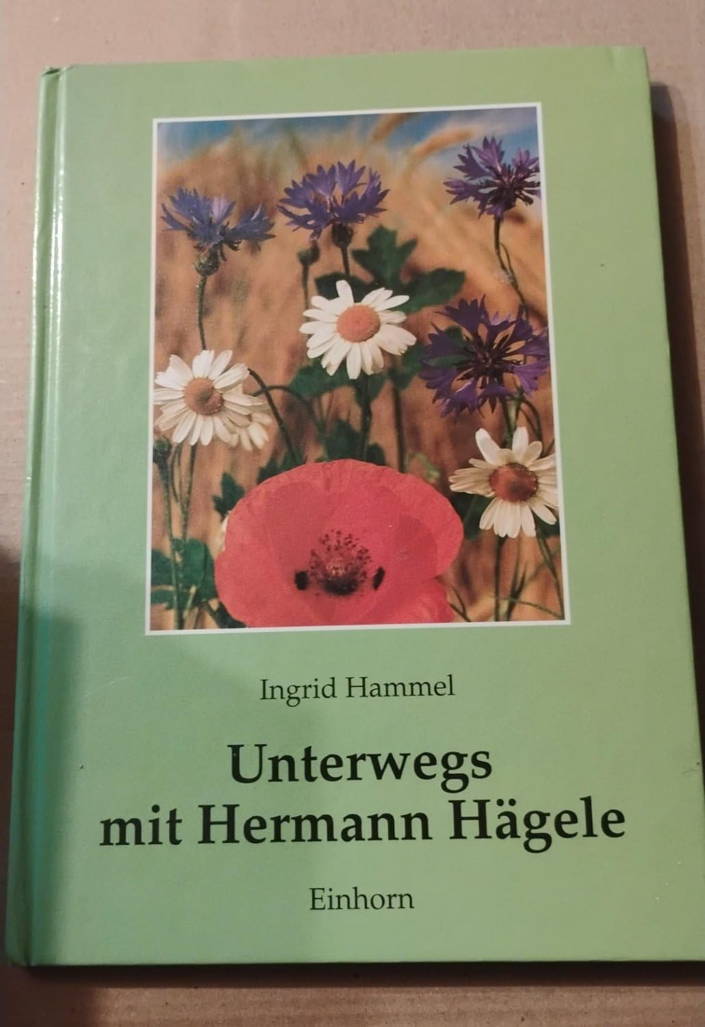 Unterwegs mit Hermann Hägele: Eine Fotodokumentation Art & Literature