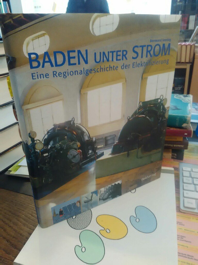 Baden unter Strom: Eine Regionalgeschichte der Elektrifizierung. Von der Wasserkraft ins Solarzeitalter Business & Technology