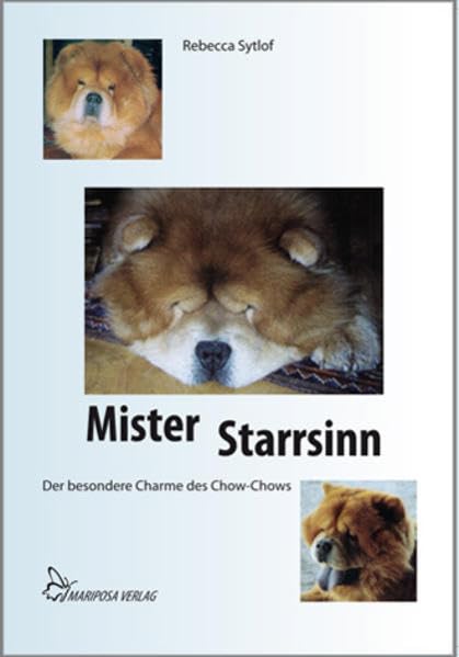 Mister Starrsinn Contemporary literature