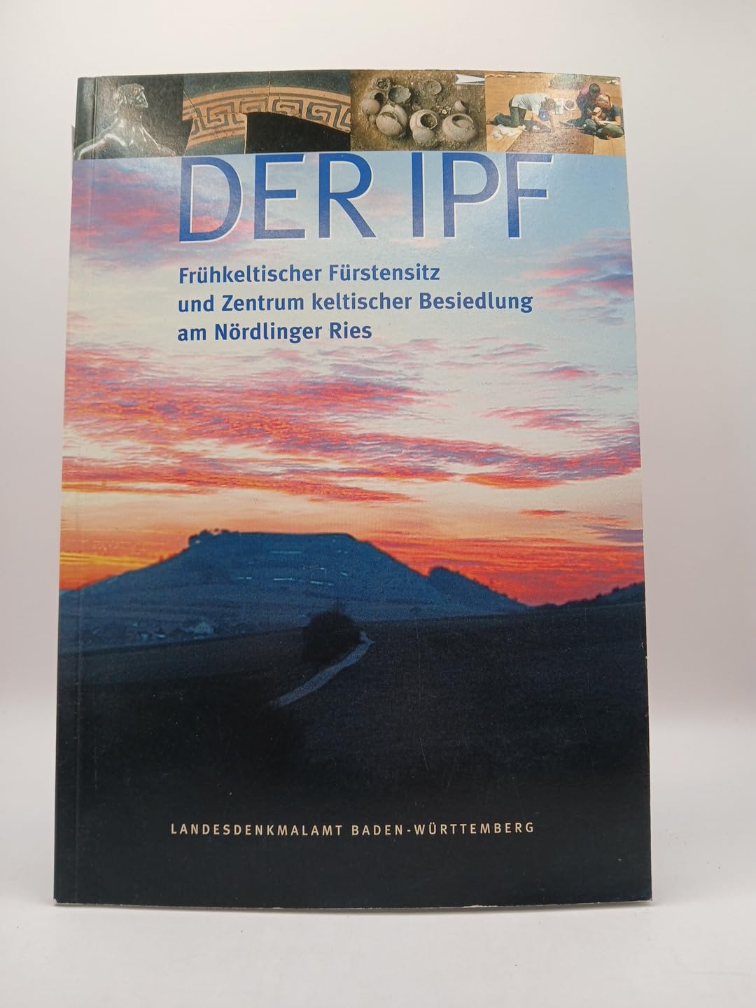 Der Ipf: Frühkeltischer Fürstensitz und Zentrum keltischer Besiedlungen am Nördlichen Ries (Archäologische Informationen aus Baden-Württemberg) Natural Sciences