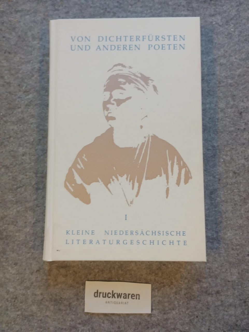Kleine Niedersächsische Literaturgeschichte in Portraits / Von Dichterfürsten und anderen Poeten Politics & Society Books