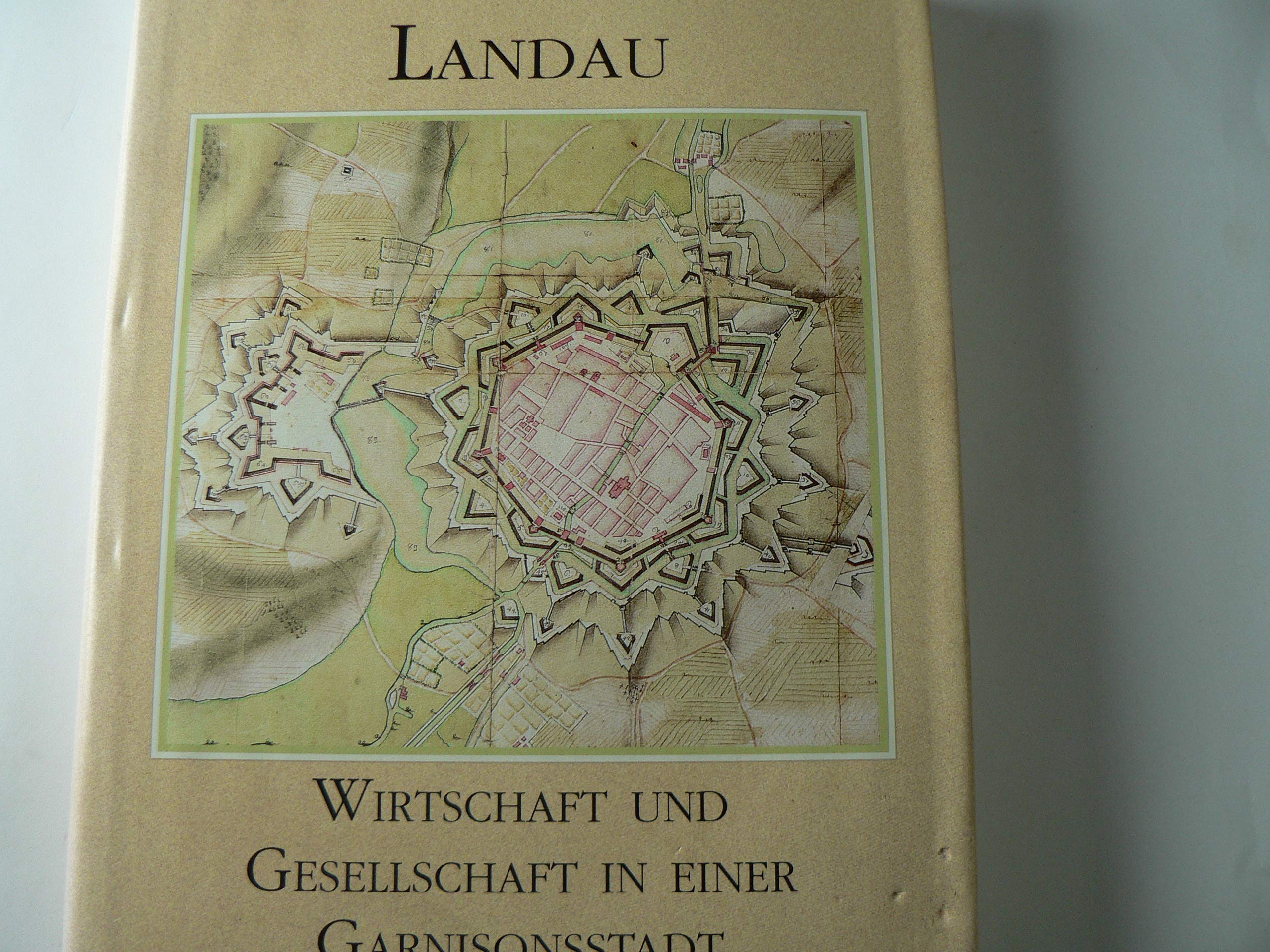 Landau: Wirtschaft und Gesellschaft in einer Garnisonsstadt vom Ausgang des 17. bis zum Beginn des 19. Jahrhunderts (Beiträge zur pfälzischen Geschichte) Social Sciences