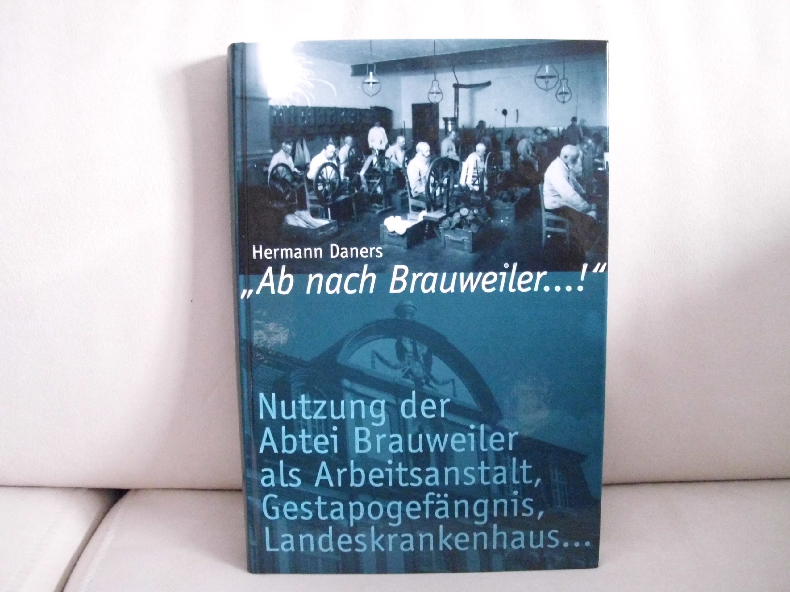Ab nach Brauweiler...!: Nutzung der Abtei Brauweiler als Arbeitsanstalt, Gestapogefängnis, Landeskrankenhaus... (Pulheimer Beiträge zur Geschichte: Sonderveröffentlichungen) Books