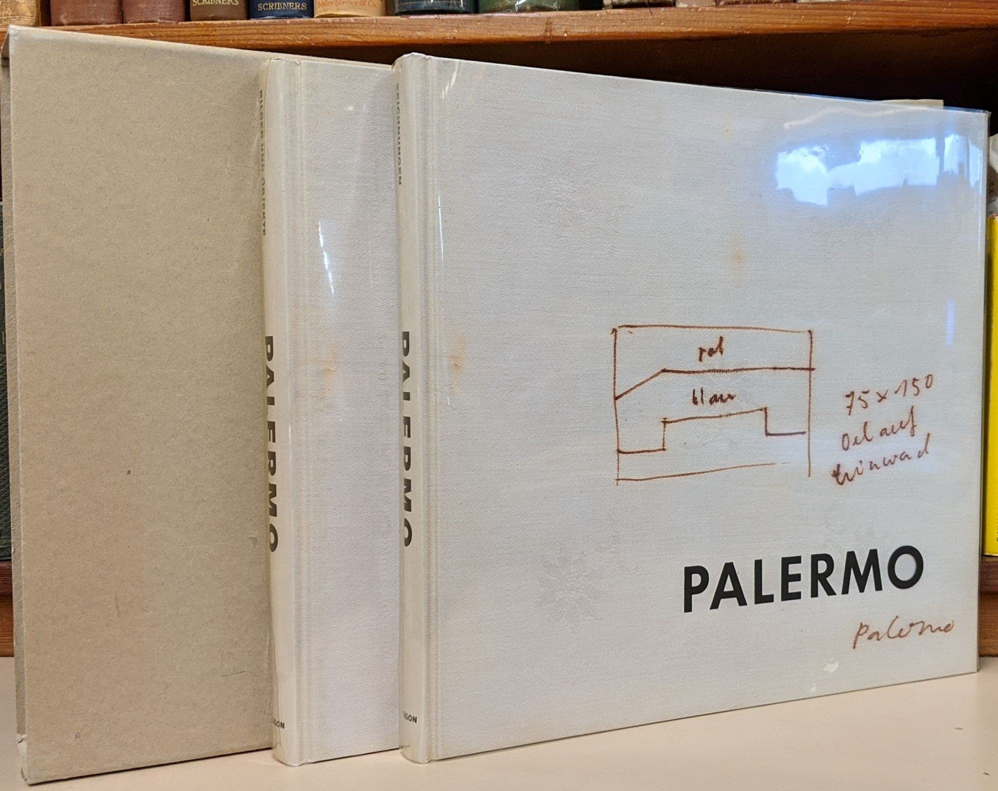 Palermo: Werkverzeichnis: Band 1: Bilder und Objekte, Band 2: Zeichnungen: Bilder und Objekte; Zeichnungen. Dtsch.-Engl. (Palermo: Complete Works) Film, Art & Culture
