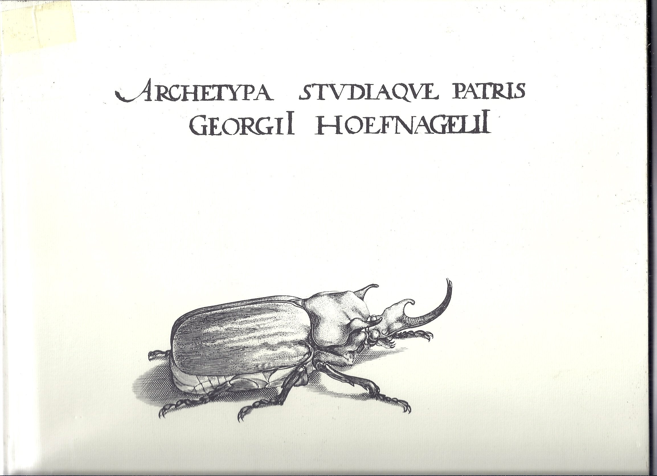 Archetypa Studiaque Patris Georgii Hoefnagelii 1592: Natur, Dichtung und Wissenschaft in der Kunst um 1600 /Nature, Poetry and Science in Art around 1600 Film, Art & Culture