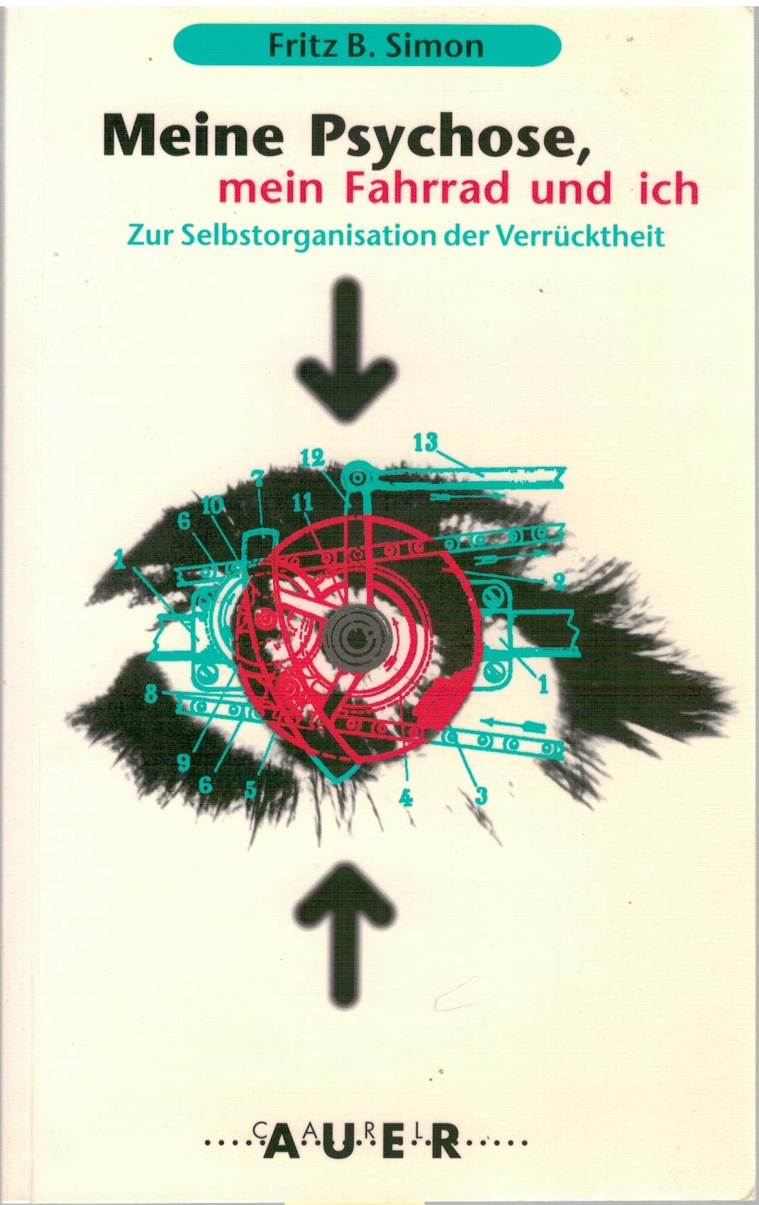 Meine Psychose, mein Fahrrad und ich: Zur Selbstorganisation der Verrücktheit Medicine