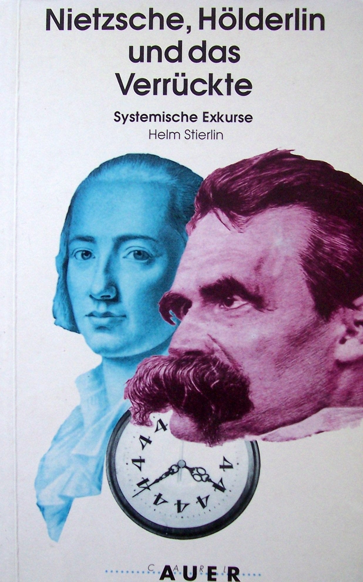 Nietzsche, Hölderlin und das Verrückte: Systemische Exkurse (Praxisreihe) Philosophy