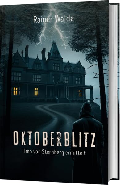 Oktoberblitz: Mysteriöser Mord eines Kunsthändlers - Timo von Sternbergs sechster Fall (Nordhessen-Krimi) Contemporary literature