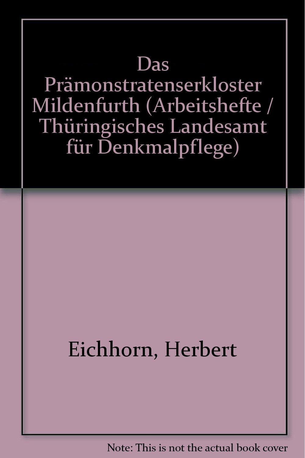 Das Prämonstratenserkloster Mildenfurth (Arbeitshefte / Thüringisches Landesamt für Denkmalpflege) book