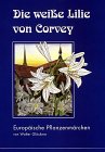 Die weisse Lilie von Corvey: Europäische Pflanzenmärchen: Europäische Pflanzenmärchen. Mit Sachinformationen zu d. Pflanzen Fairy Tales & Legends