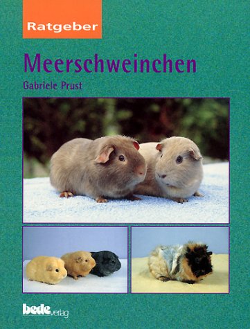 Ratgeber Meerschweinchen Pets