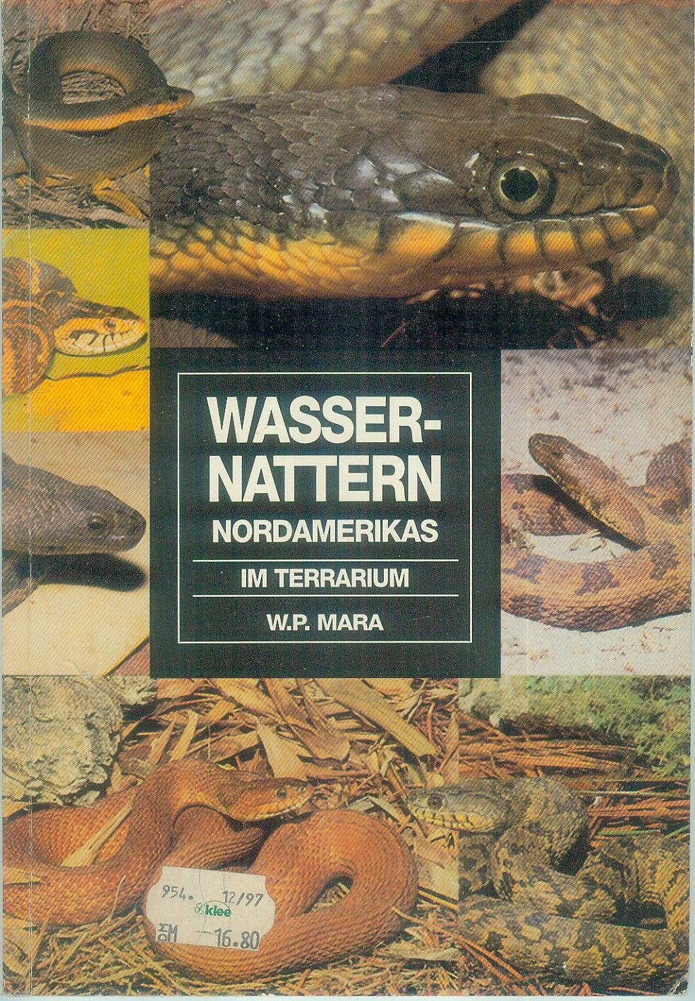 Wassernattern Nordamerikas im Terrarium Pets