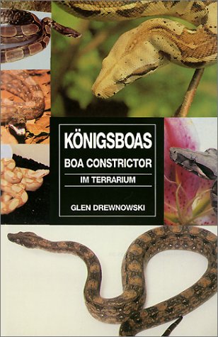 Die Königsboa im Terrarium Pets