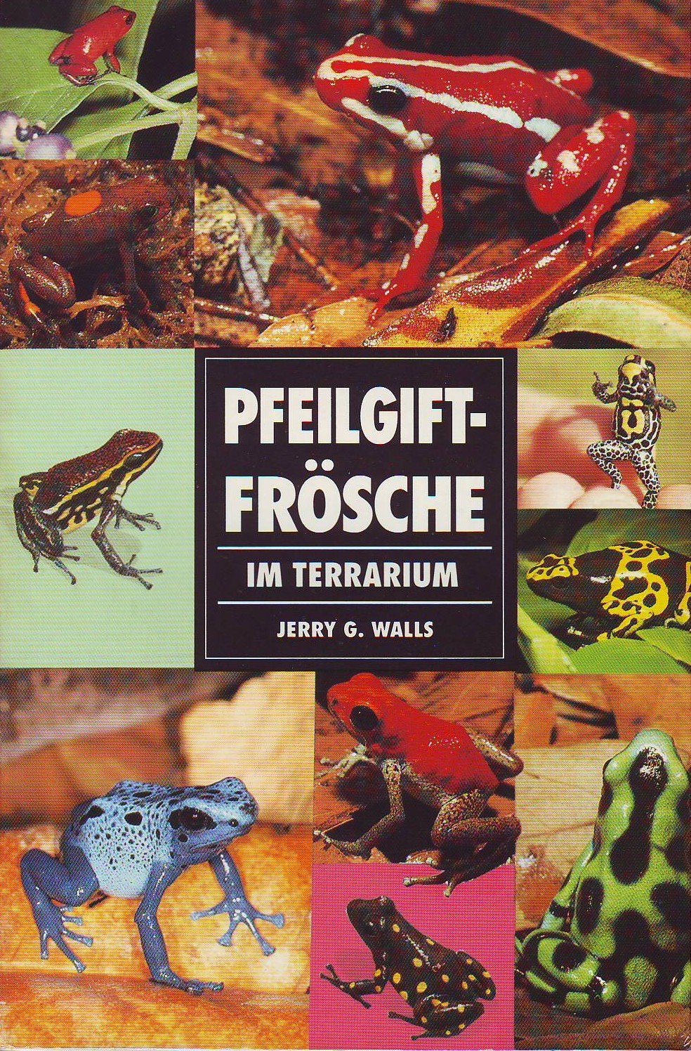 Pfeilgiftfrösche im Terrarium Pets
