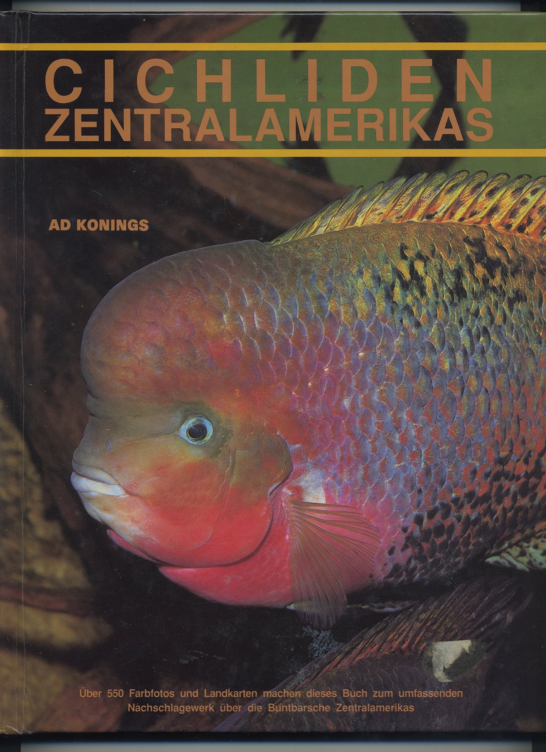 Cichliden Zentralamerikas Natural Sciences Books
