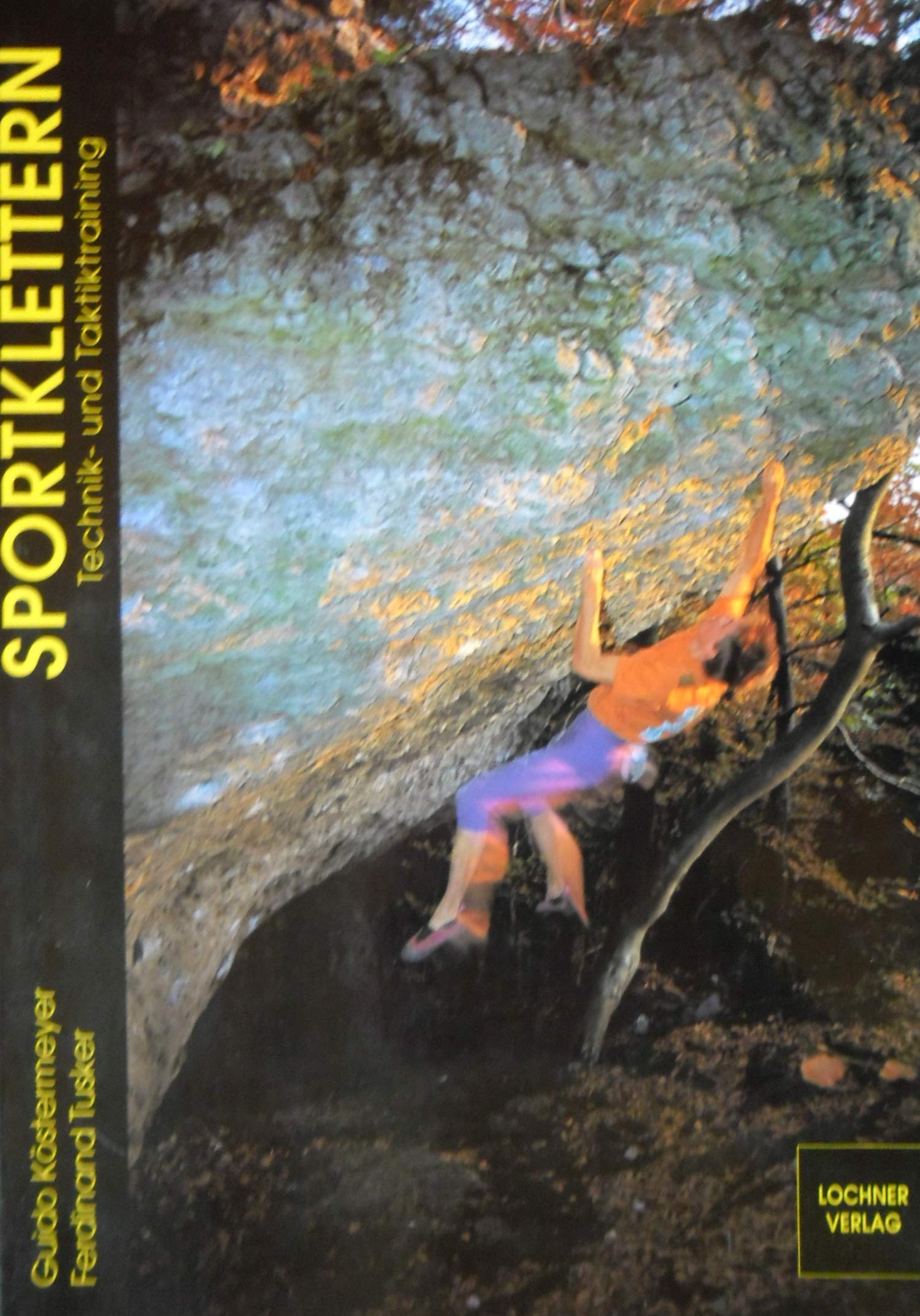 Sportklettern. Technik- und Taktiktraining Books