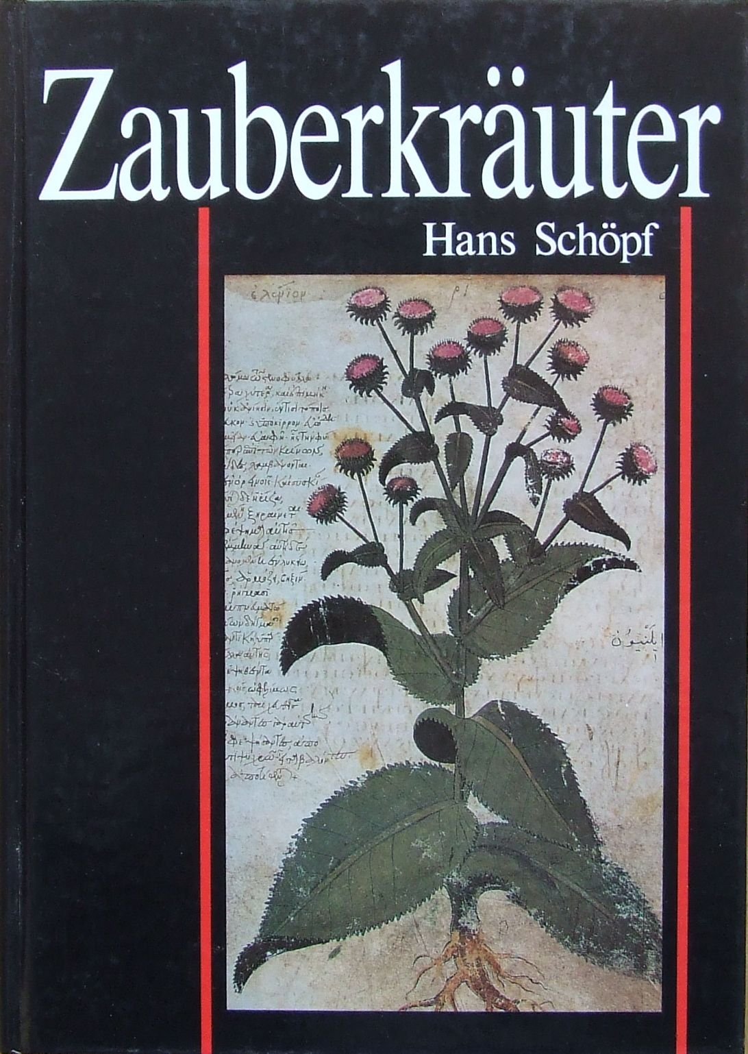 Zauberkräuter Health, Nutrition & Fitness