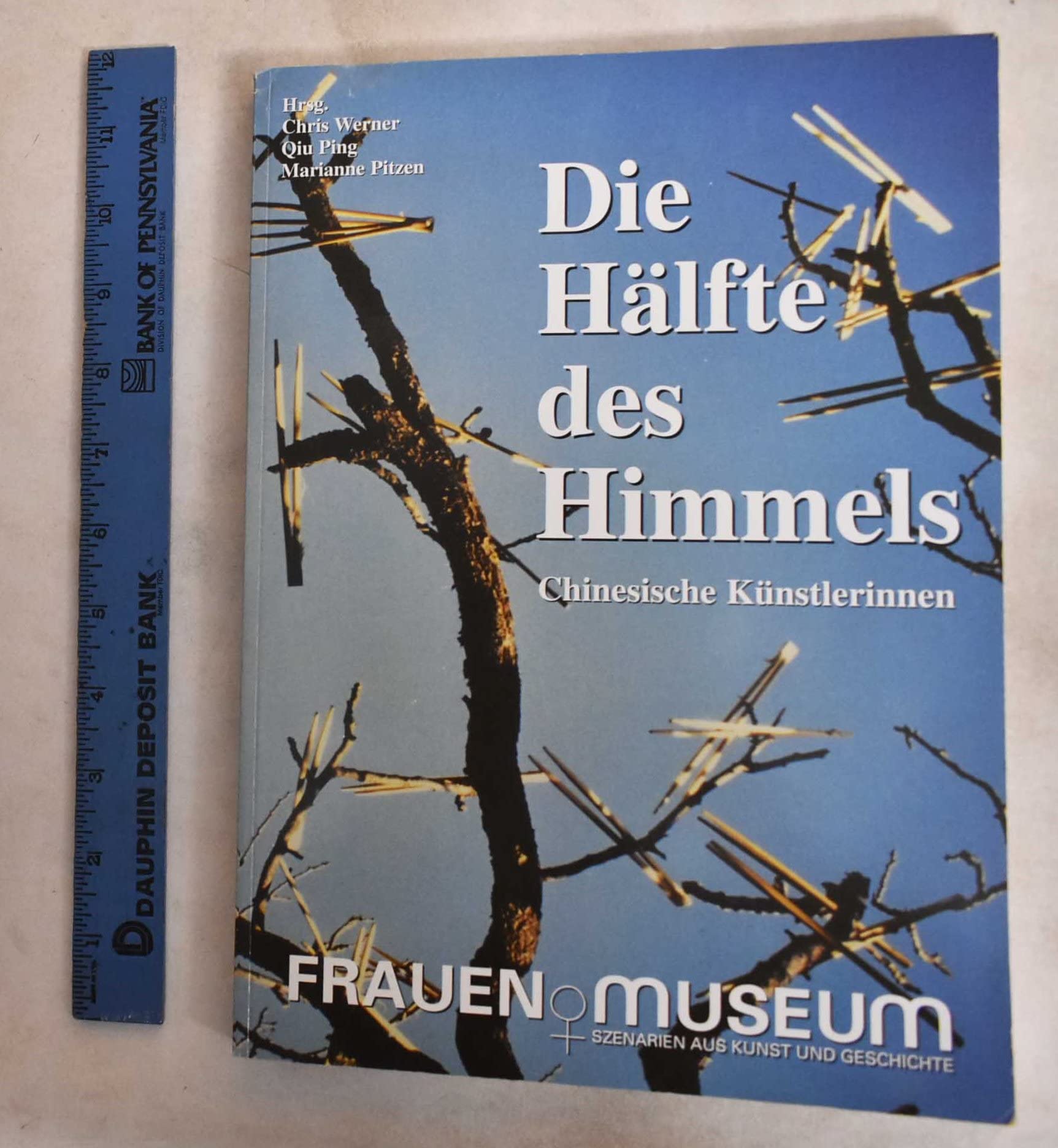 Die Hälfte des Himmels: Chinesische Künstlerinnen der Gegenwart (Ausstellungskatalog) Film, Art & Culture