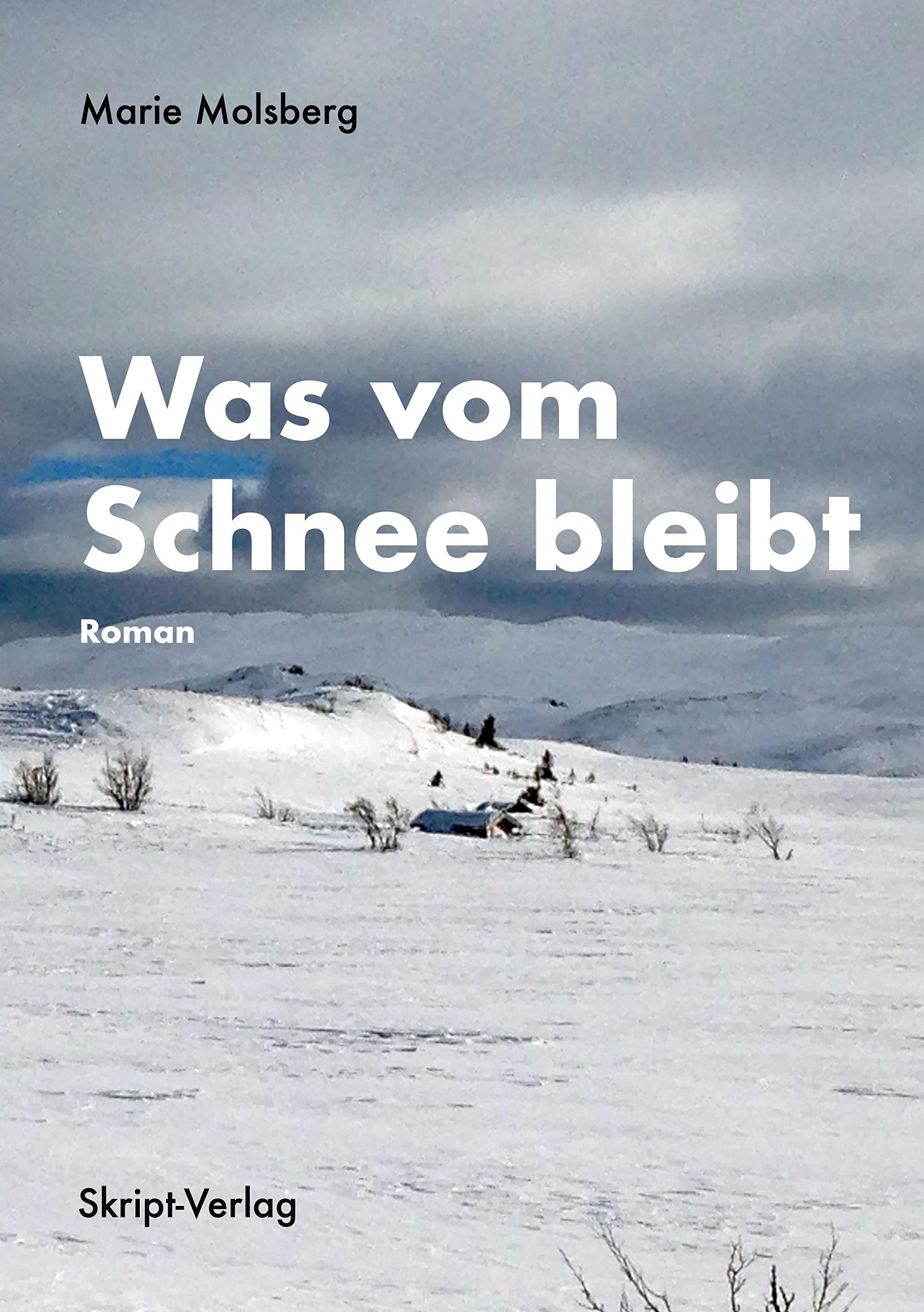 Product Image: Was vom Schnee bleibt