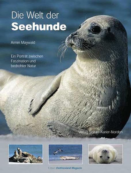 Die Welt der Seehunde: Ein Porträt zwischen Faszination und bedrohter Natur (Edition Ostfriesland Magazin) Leisure, Home & Garden