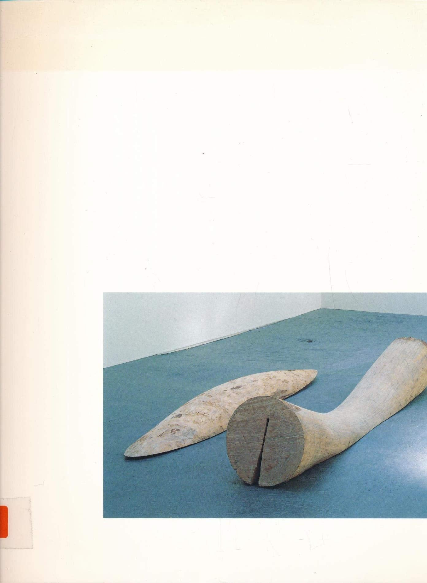 Rudolf Wachter. Dokumentation zu den Ausstellungen 1992 Books