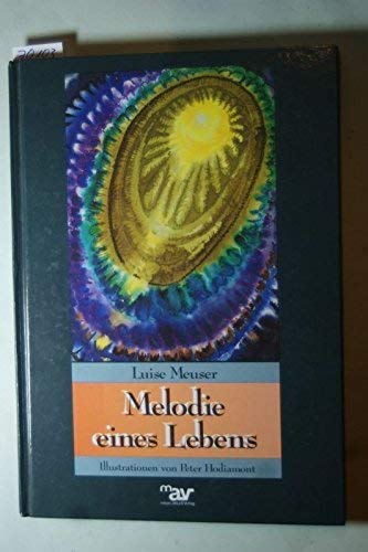 Melodie eines Lebens. Erlebtes und Erlauschtes - aufgelesen von steinigem Grund Medicine