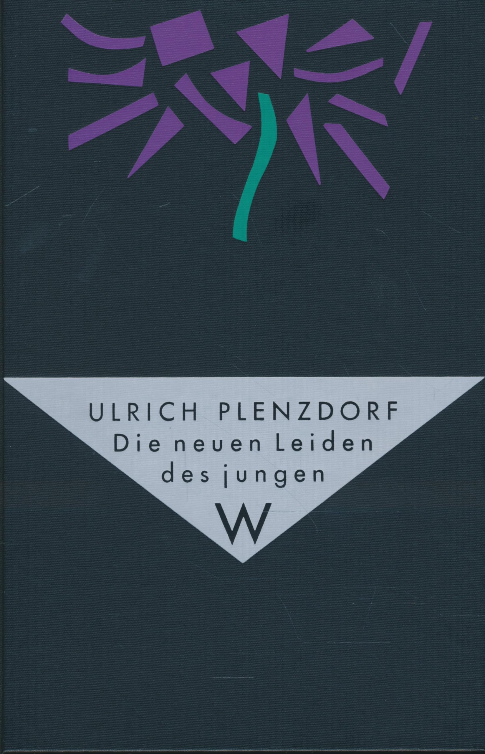 Die neuen Leiden des jungen W. Contemporary literature
