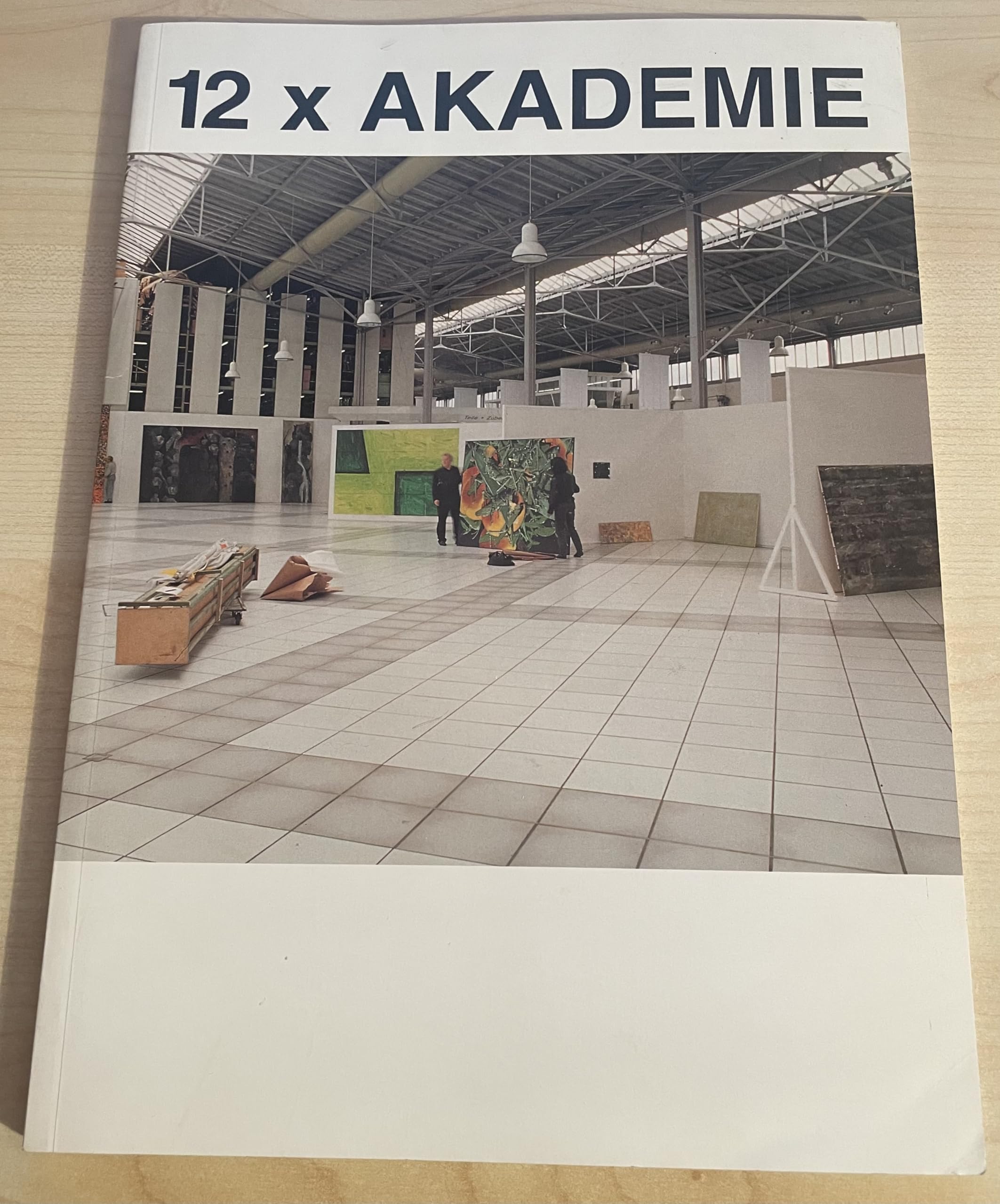 12 × Akademie: Die Klassen der Kunstakademie Münster: Malerei, Plastik, Installation, Film von Lehrern und Schülern Business & Technology