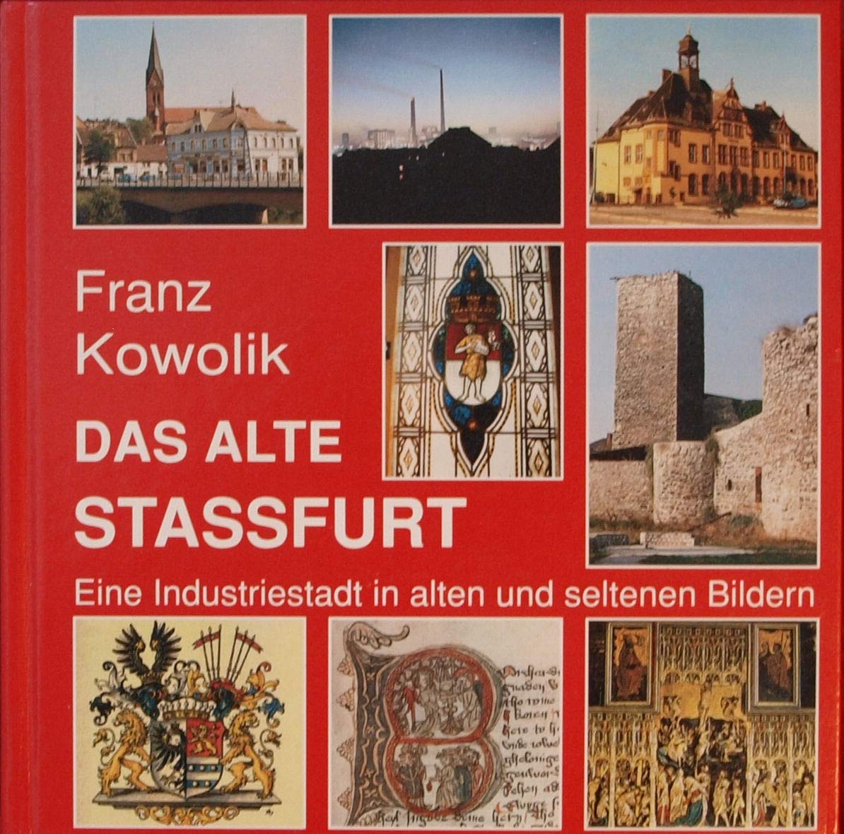 Das alte Stassfurt: Eine Stadt in alten und seltenen Bildern Books