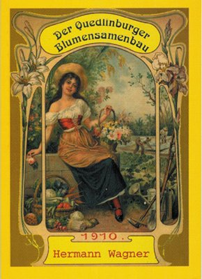 Der Quedlinburger Blumensamenbau: Voraussetzungen, Aufstieg, Blüte und Niedergang. Ein Beitrag zur Heimatgeschichte Politics & History