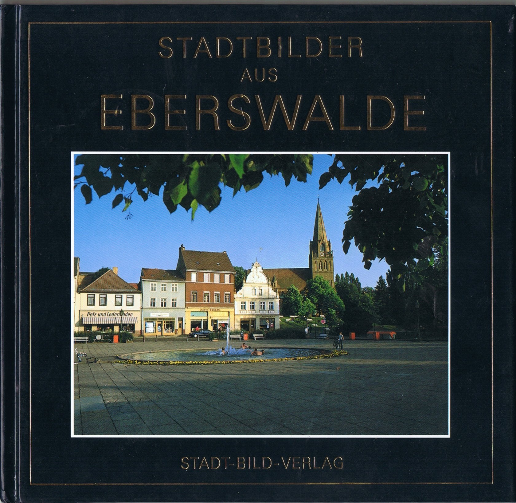Stadtbilder aus Eberswalde Books