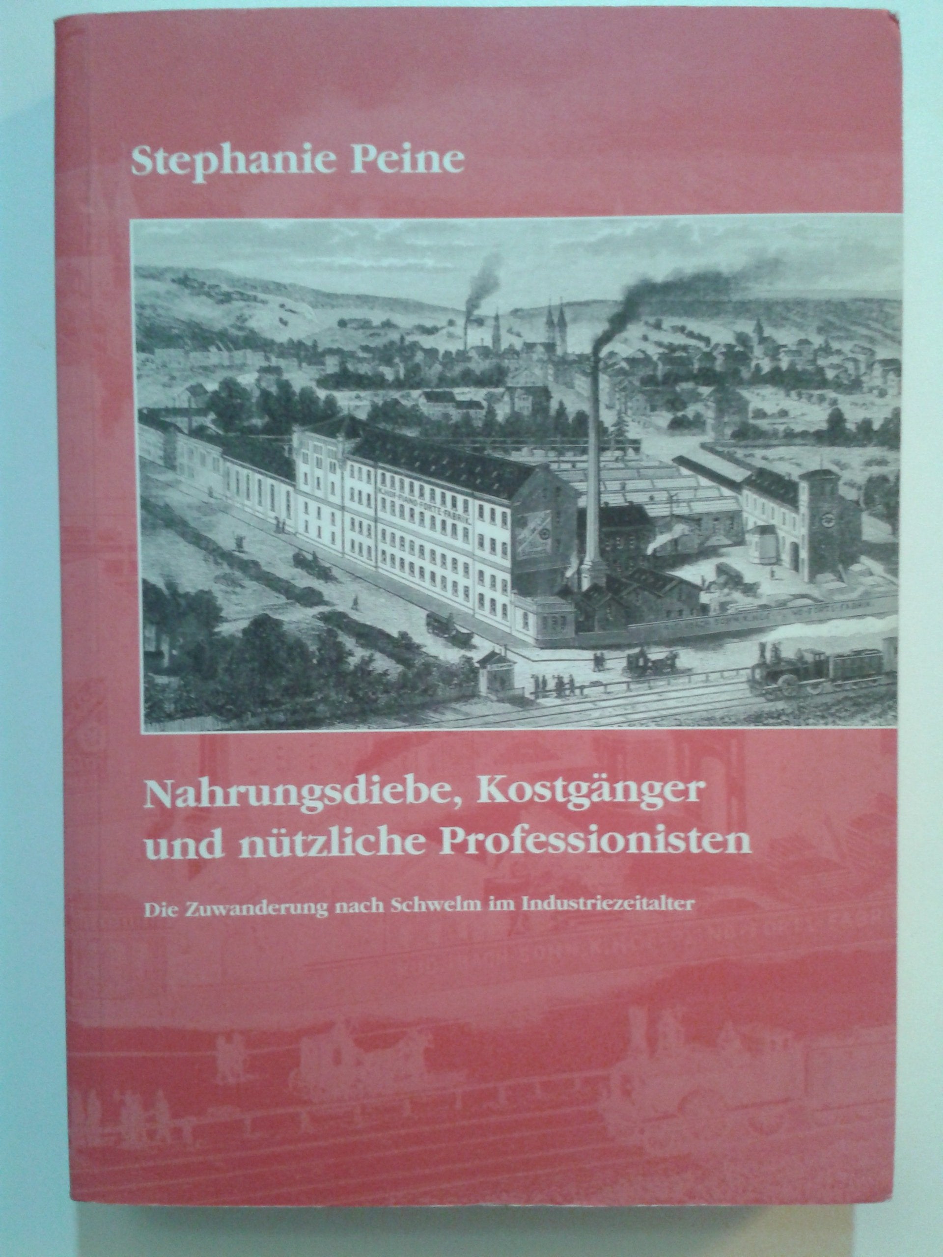 Nahrungsdiebe, Kostgänger und nützliche Professionisten: Zuwanderung nach Schwelm im Industriezeitalter (1763-1914) Politics & History