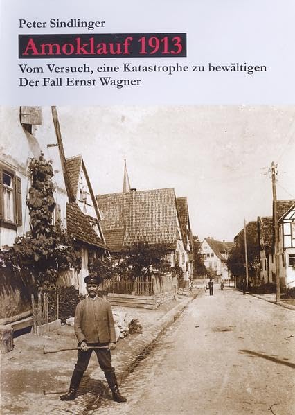 Amoklauf 1913: Vom Versuch, eine Katastrophe zu bewältigen. Der Fall Ernst Wagner Politics & History