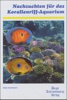 Nachzuchten für das Korallenriff-Aquarium Pets
