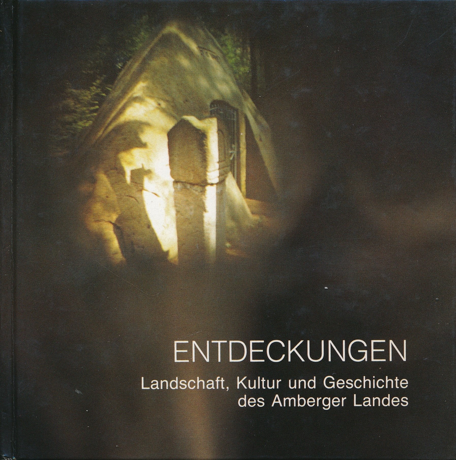Entdeckungen: Landschaft, Kultur und Geschichte des Amberger Landes Books