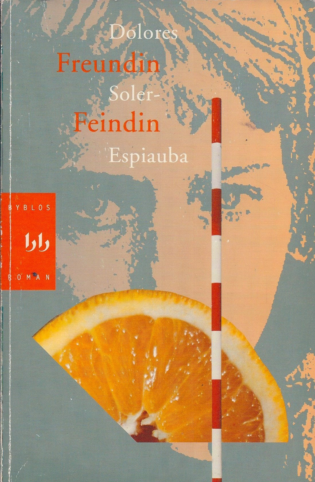 Freundin Feindin: Roman Fiction