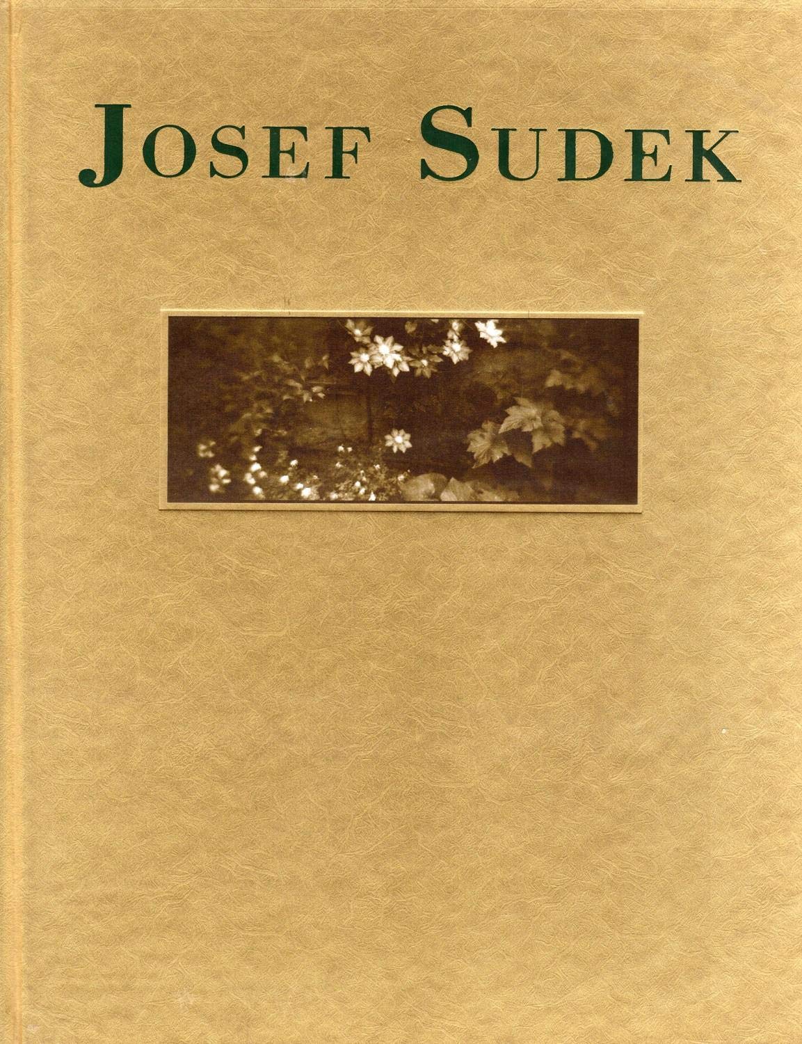 Josef Sudek Photography