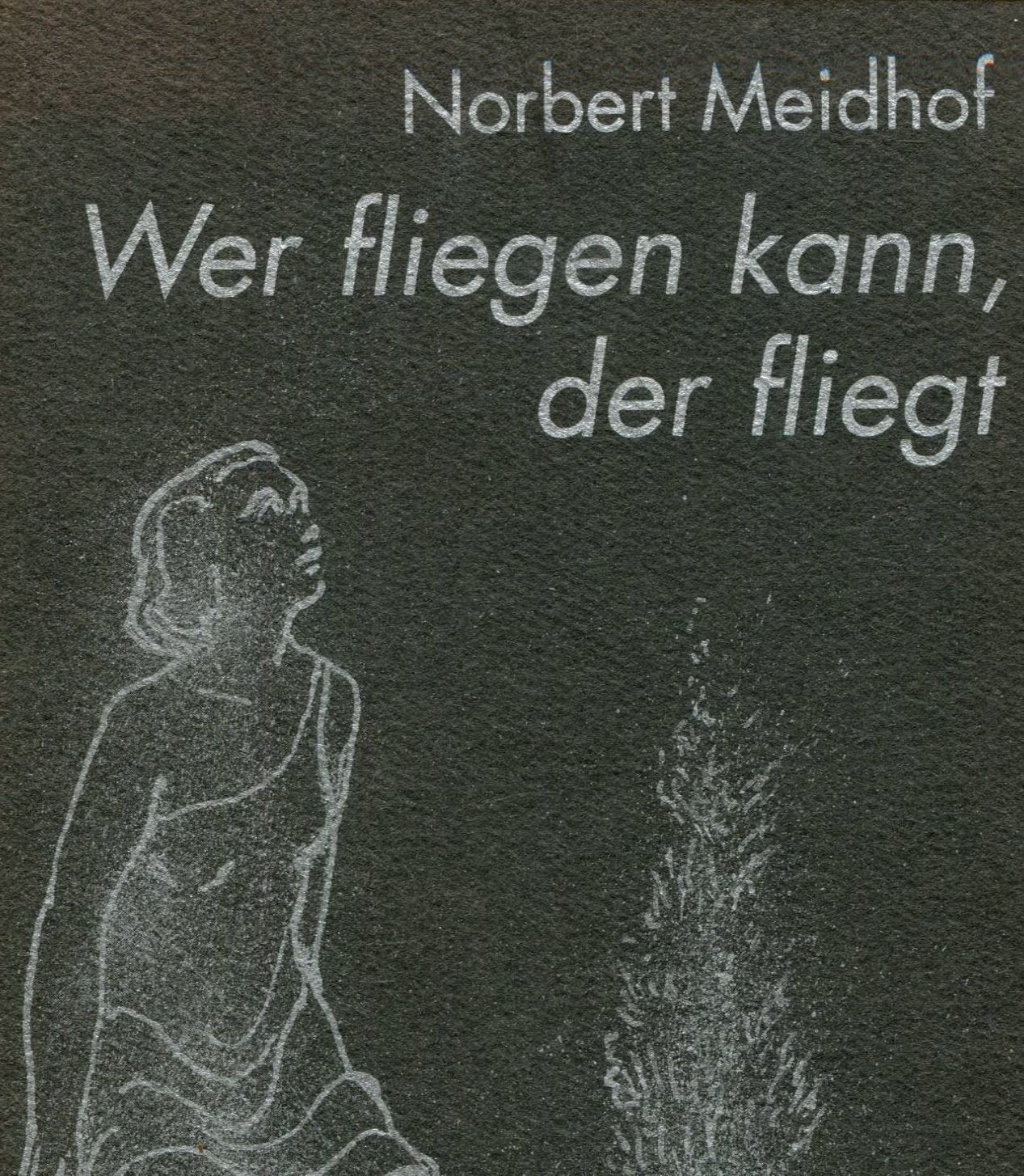 Wer fliegen kann, der fliegt: Kleinstadtprotokolle Books