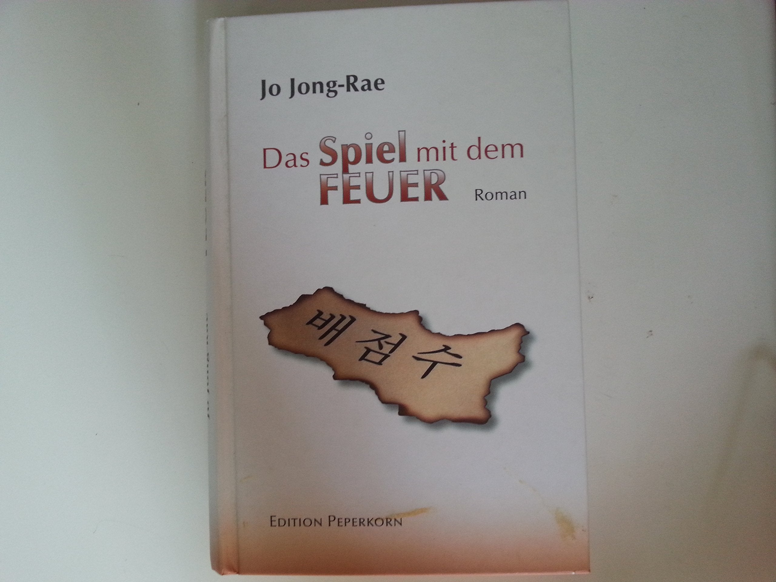 Das Spiel mit dem Feuer: Roman Contemporary literature