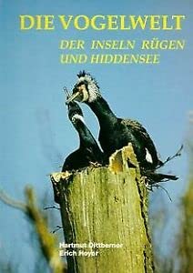 Concerto 2. Klassik für Kinder. book