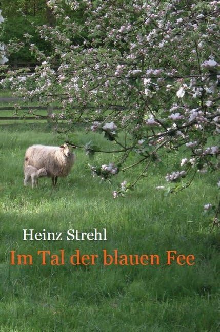 Im Tal der blauen Fee (Books on Demand im Kid Verlag) Contemporary literature