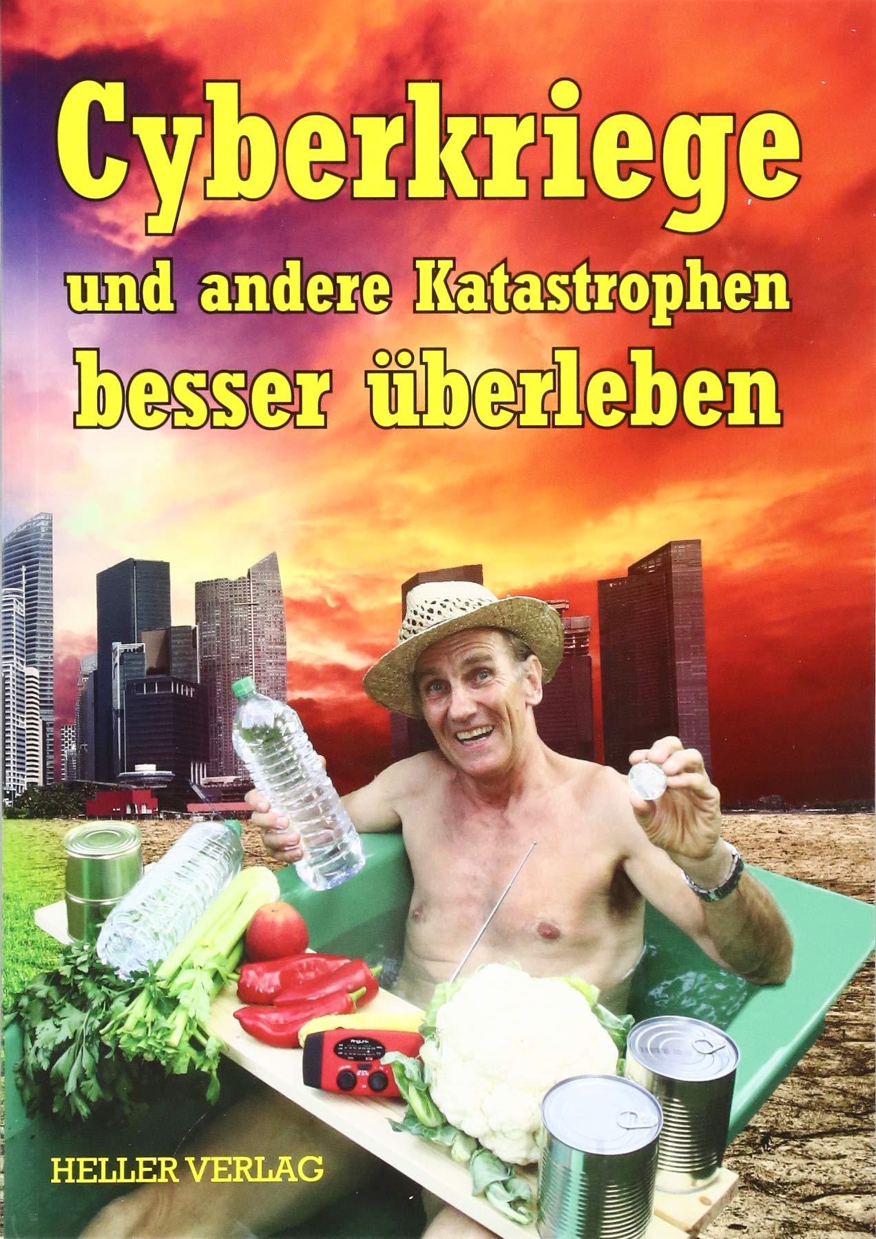 Cyberkriege und andere Katastrophen besser überleben: Das kleine Krisenhandbuch Reference Books
