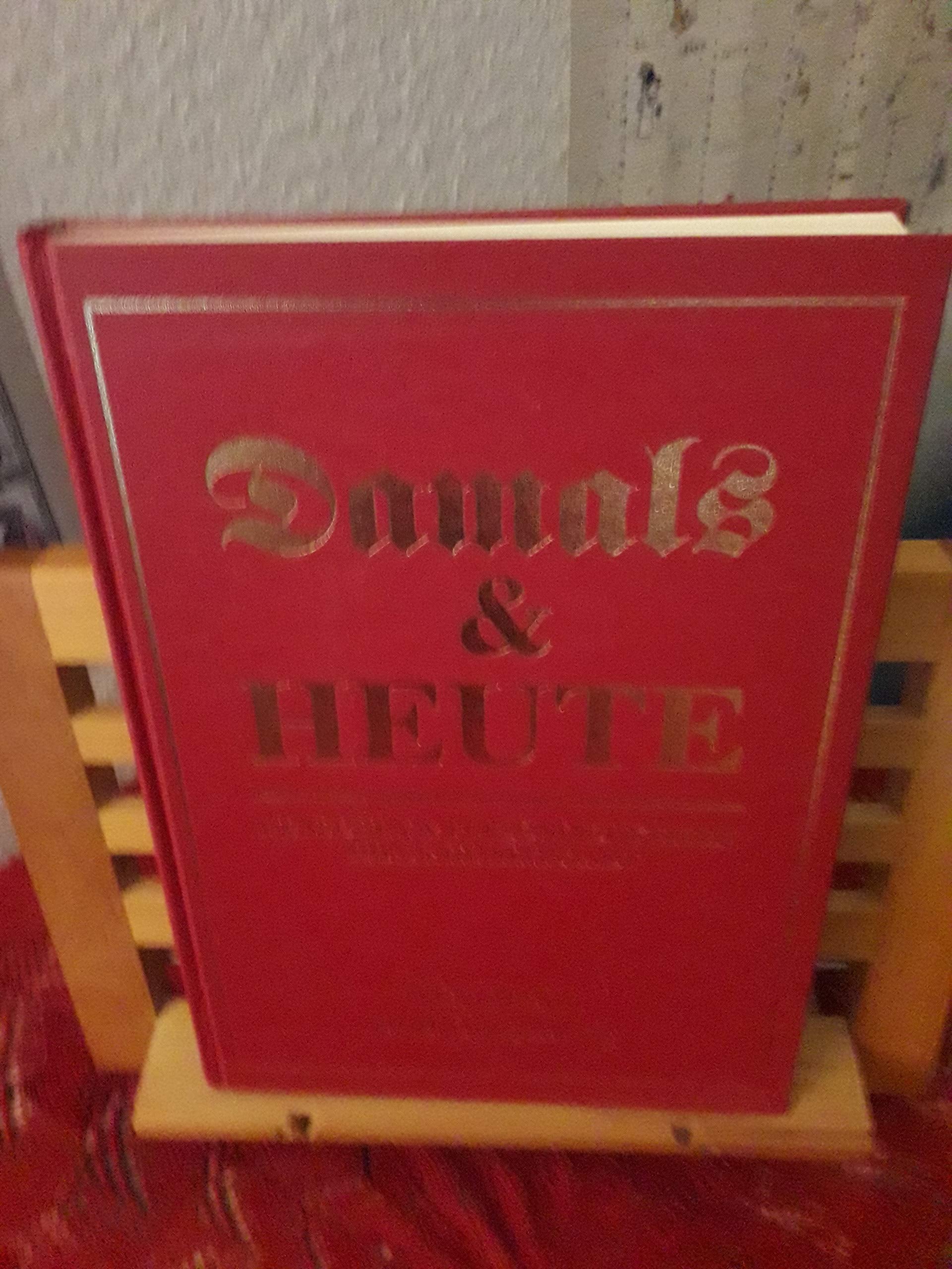 Mannheim (Damals & Heute. Menschen & Persönlichkeiten ihrer Heimatstadt) - Maass, Reinhold book