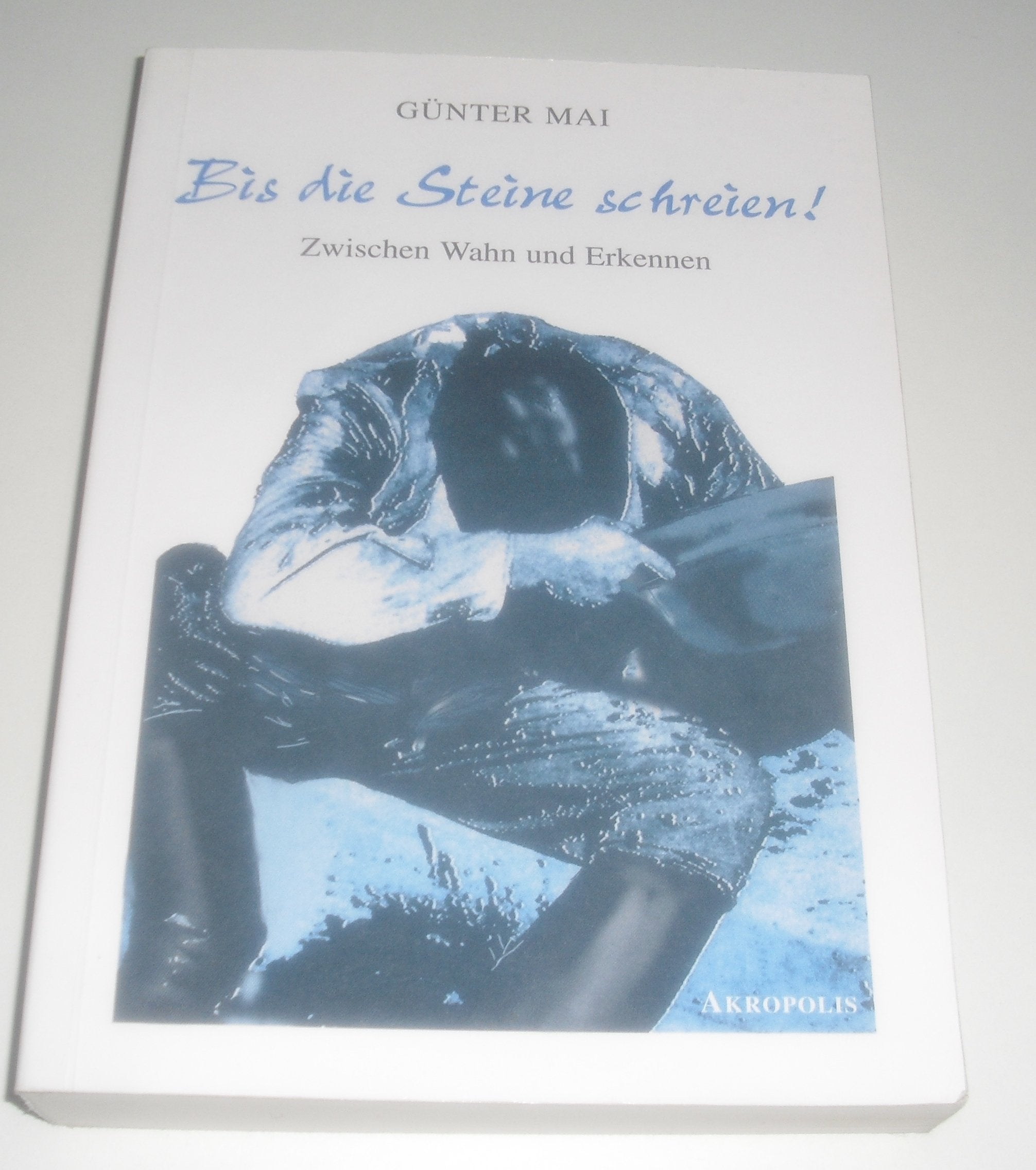 Bis die Steine schreien: Zwischen Wahn und Erkennen. Autobiographischer Roman und Zeitdokument Personalities