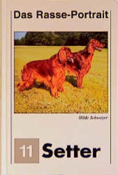 Setter Portrait (Das Hundeportrait) Pets
