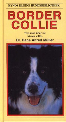 Border Collie Pets